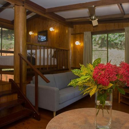 Milkwood Lodge Куктаун Экстерьер фото